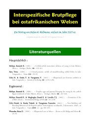 Interspezifische Brutpflege bei ostafrikanischen Welsen