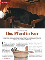 lesen Sie den ganzen Artikel! (.pdf-Format) - Reiter Revue ...