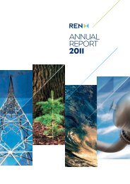 ANNUAL REPORT - REN