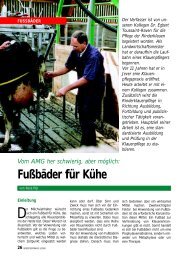 FuÃbÃ¤der fÃ¼r KÃ¼he - RenÃ© Pijl