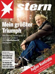 Stern 11/2013