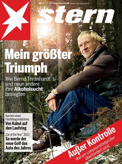 Stern 11/2013