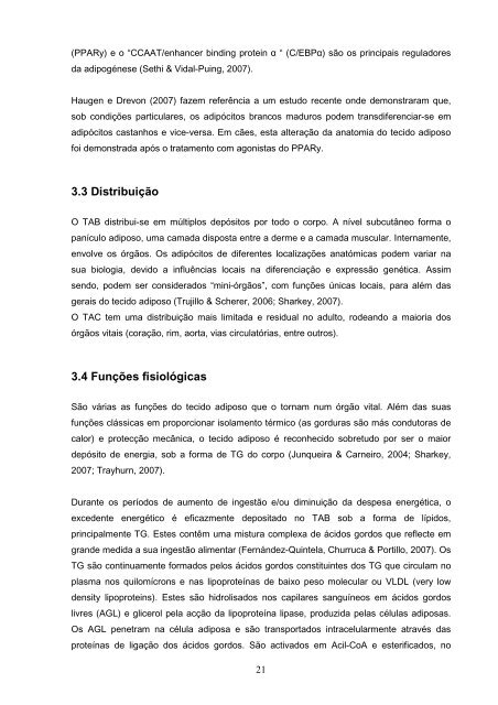 Tese - Es..[1].pdf - UTL Repository - Universidade TÃ©cnica de Lisboa