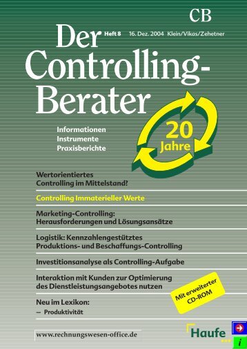 Controlling Immaterieller Werte