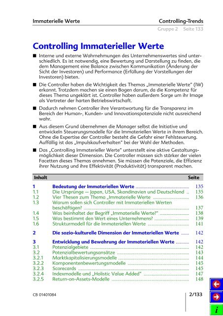 Controlling Immaterieller Werte