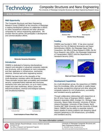 CSNERG - Composite Structures and Nano Engineering