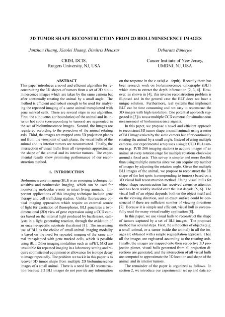 3D Tumor Shape Reconstruction from 2D Bioluminescence Images