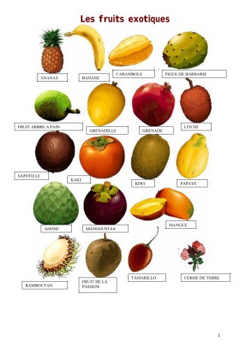 Les fruits exotiques - Restocours.net