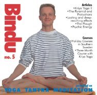 Bindu 21 - Scandinavian Yoga and Meditation School