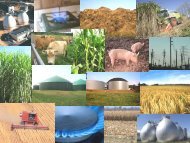 Biomass to biogas in rural places - RETS Project