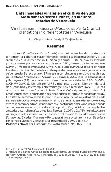 Enfermedades virales en el cultivo de yuca (Manihot esculenta Crantz)