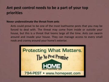 Ant pest control needs to be a part of your top priorities