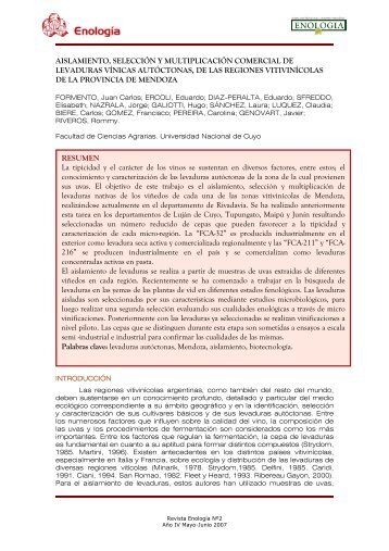aislamiento, selecciÃ³n y multiplicaciÃ³n comercial ... - Revista EnologÃ­a