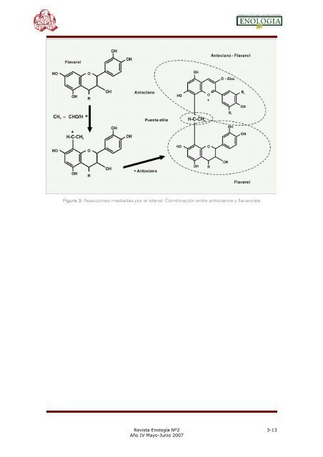 Articulo completo - Revista EnologÃ­a