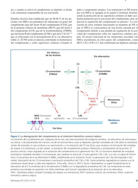 PDF NÃºmero - NefrologÃ­a