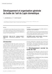 DÃ©veloppement et organisation gÃ©nÃ©rale du bulbe de l'Åil du Lapin ...