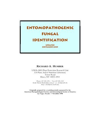 Entomopathogenic Fungal Identification - Agricultural Research ...
