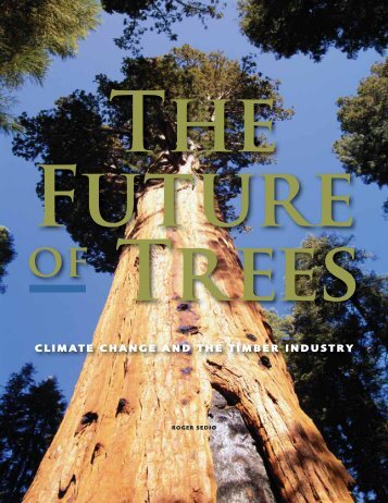 The Future of Trees: Climate Change and the Timber Industry