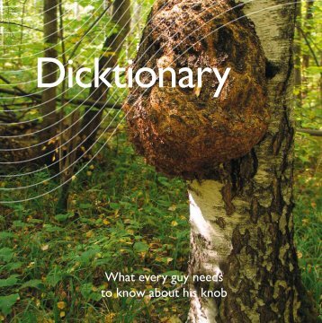 Dicktionary - RFSU