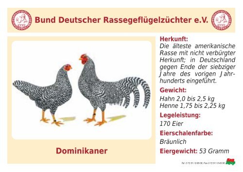 Huhn - RASSEGEFLÃGEL - TANJA MEIER