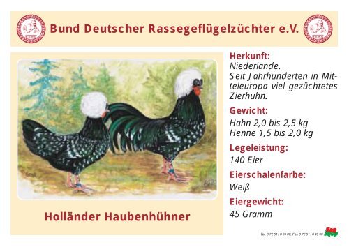 Huhn - RASSEGEFLÃGEL - TANJA MEIER