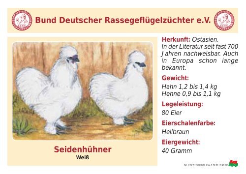 Huhn - RASSEGEFLÃGEL - TANJA MEIER