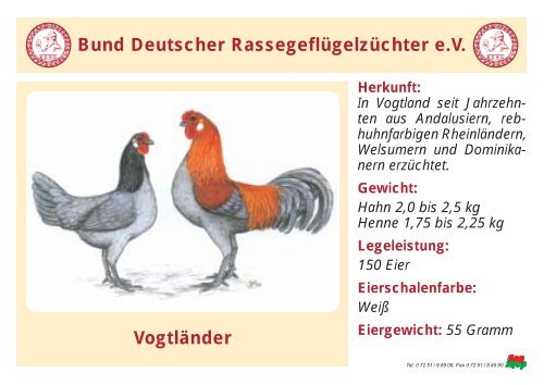 Huhn - RASSEGEFLÃGEL - TANJA MEIER