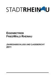 Jahresabschluss und Lagebericht 2011 - Stadt Rheinau