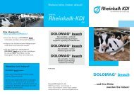 DOLOMAGÂ® beach - Rheinkalk KDI