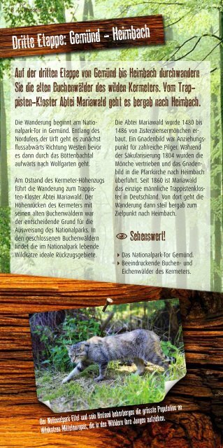 Wandern auf dem Wildnis-Trail im AVV