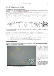 Sous-section Grandia - Rhododendron