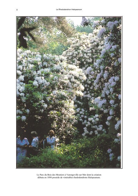 L'histoire commence lors d'une de mes visites au ... - Rhododendron