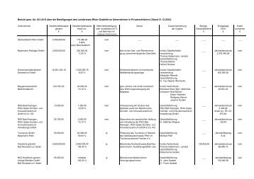 Beteiligungsbericht 2010.pdf - Landkreis RhÃ¶n-Grabfeld