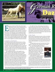Read Warmbloods Today Magazine 2012 article on German Riding ...