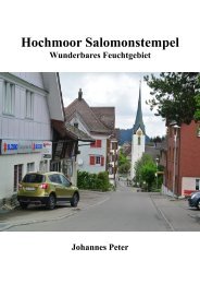 Hochmoor Salomonstempel