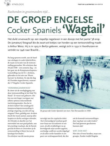 DE GROEP ENGELSE COCKER SPANIEL - Wagtail - Ria Hörter