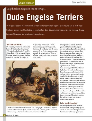 Oude Engelse Terriers - Ria Hörter