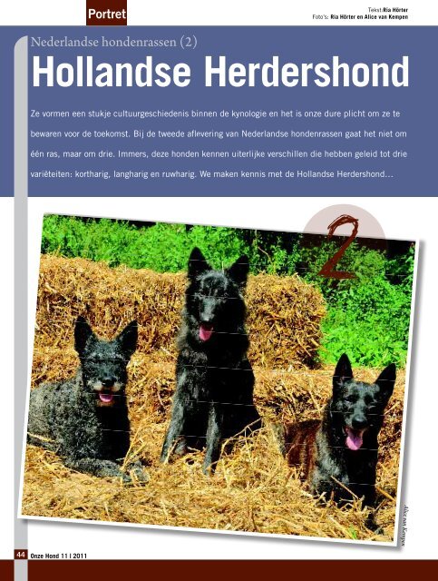 Hollandse Herdershond - Ria Hörter