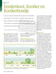 Eendenkooi, Kooiker en Kooikerhondje - Ria Hörter