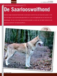 De Saarlooswolfhond - Ria Hörter