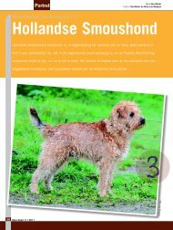 Hollandse Smoushond - Ria Hörter