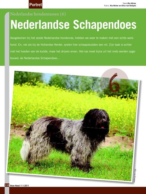 (6) – Nederlandse Schapendoes - Ria Hörter