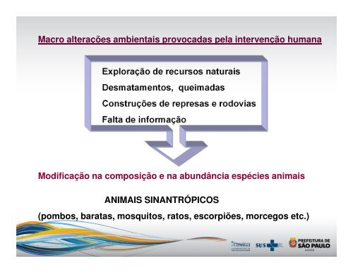 Morcegos hematófagos em áreas urbanas