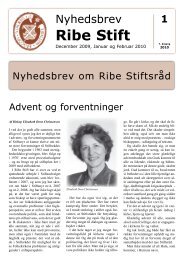 1 - Ribe Stift