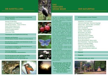 Flyer Infozentrum Wald und Moor - Ribnitz-Damgarten