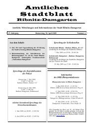 Stadtblatt Nr. 04/2009 - Ribnitz-Damgarten