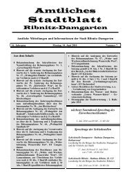 Stadtblatt Nr. 07/2010 - Ribnitz-Damgarten