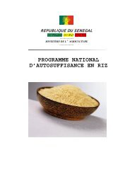 Programme National d'Autosuffisance en Riz - JICA