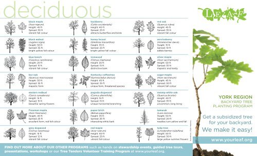 LEAF Backyard Tree Planting Program Brochure