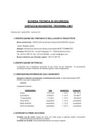 Scheda di sicurezza - pdf 36 KB - RIG.ECO srl